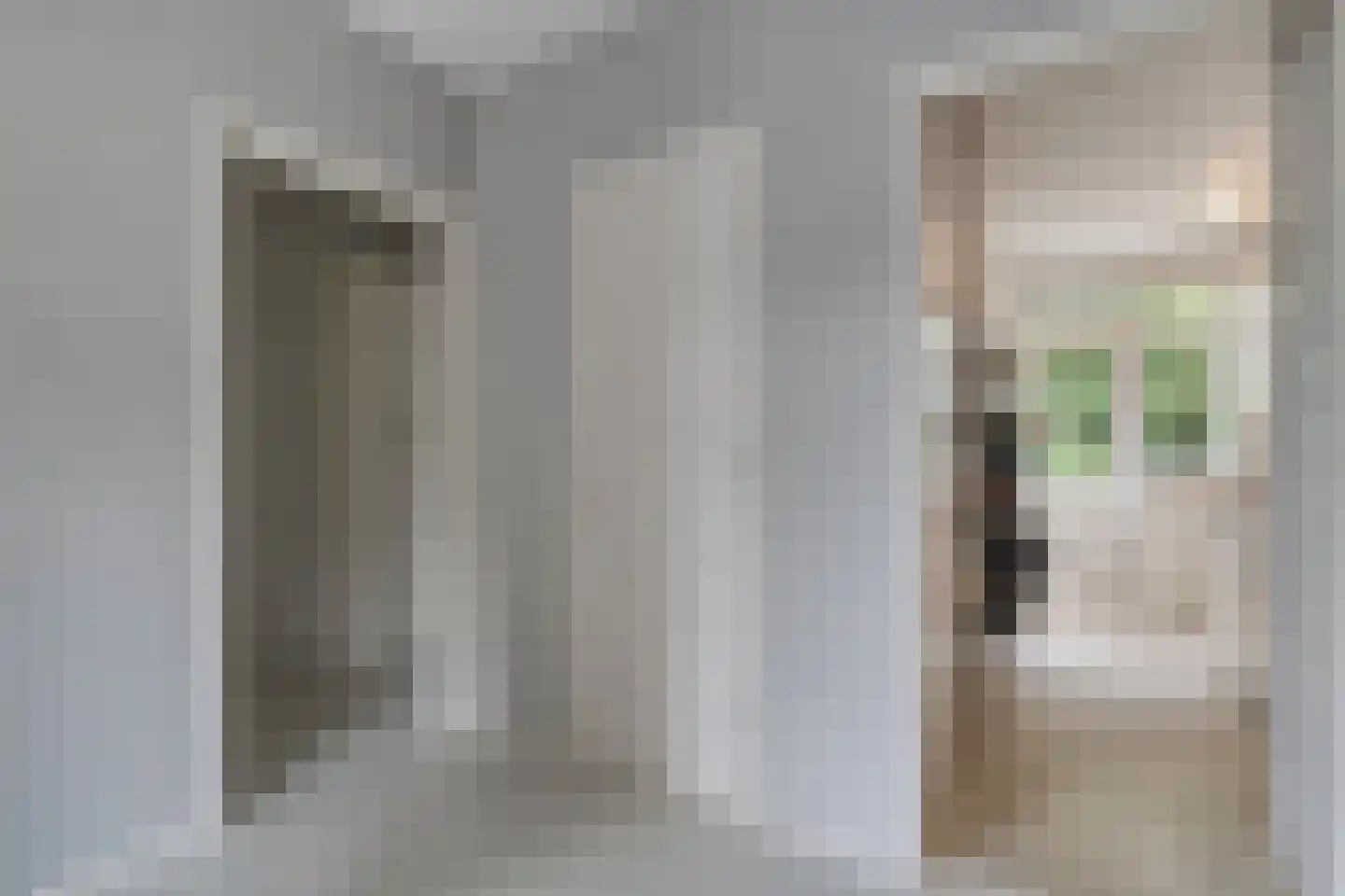 Van Hille Gaerthéstraat 24 Zwolle thumbnail 16