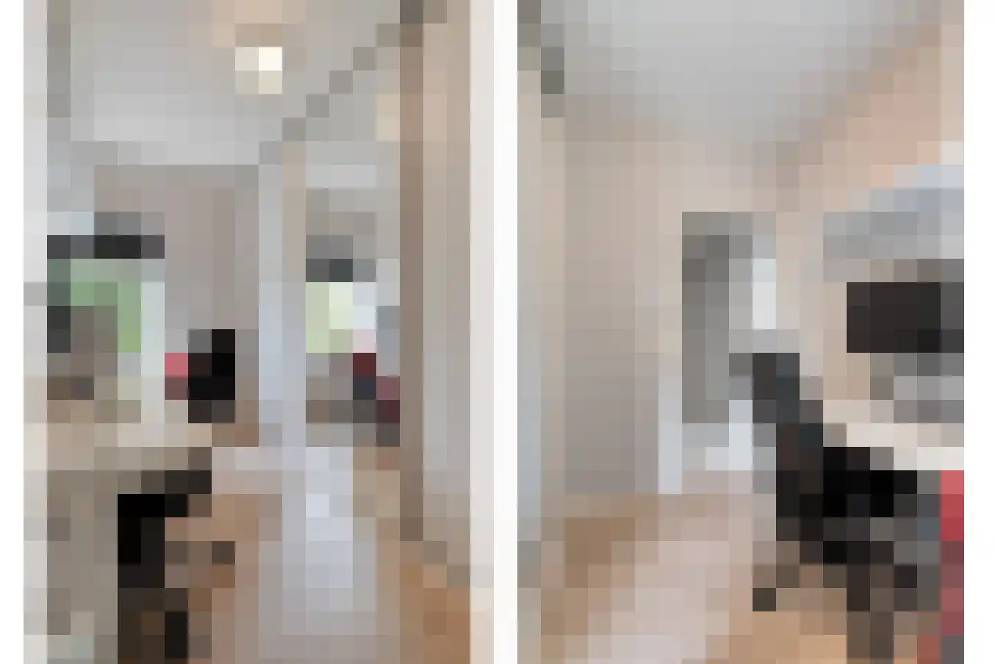 Van Hille Gaerthéstraat 24 Zwolle thumbnail 35
