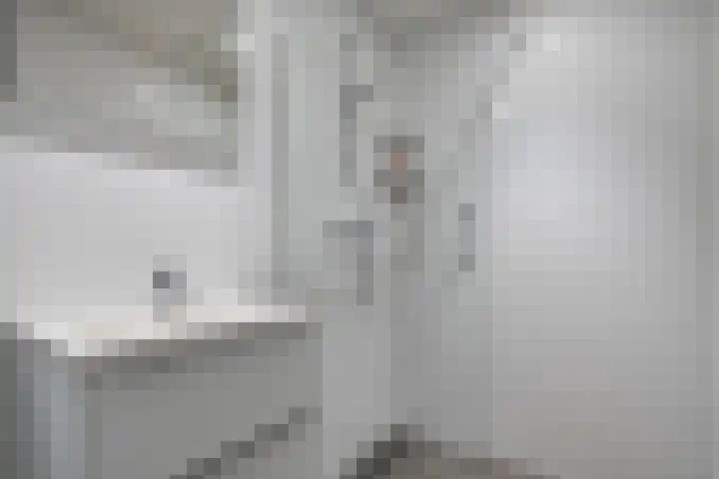 Van Hille Gaerthéstraat 24 Zwolle thumbnail 39