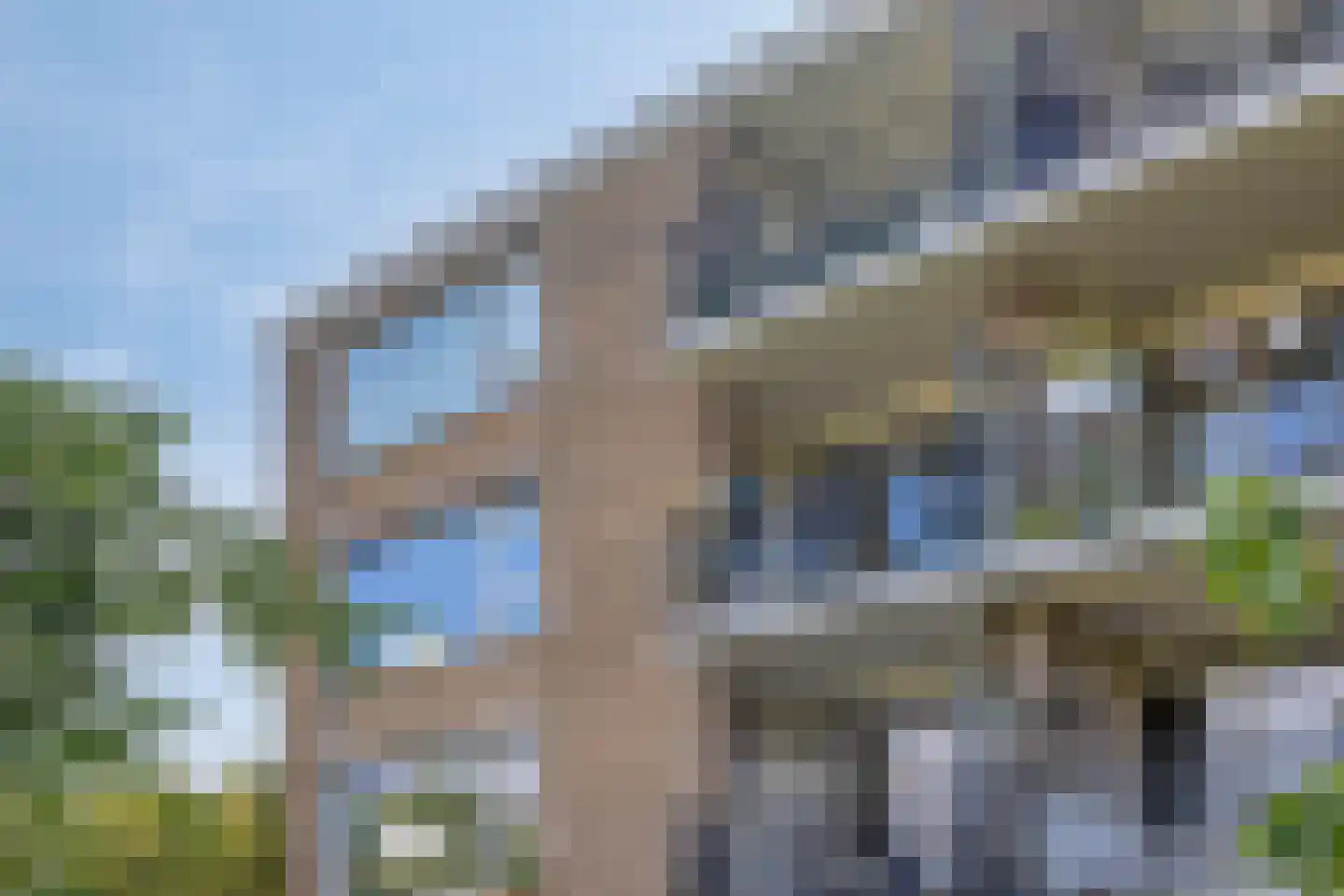 Van Hille Gaerthéstraat 26 Zwolle thumbnail 30