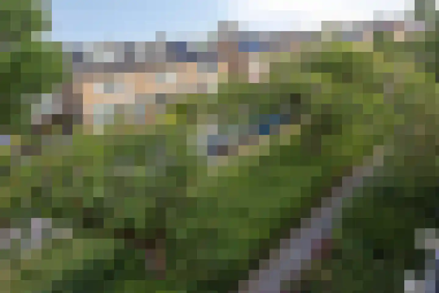 Van Hille Gaerthéstraat 26 Zwolle thumbnail 34