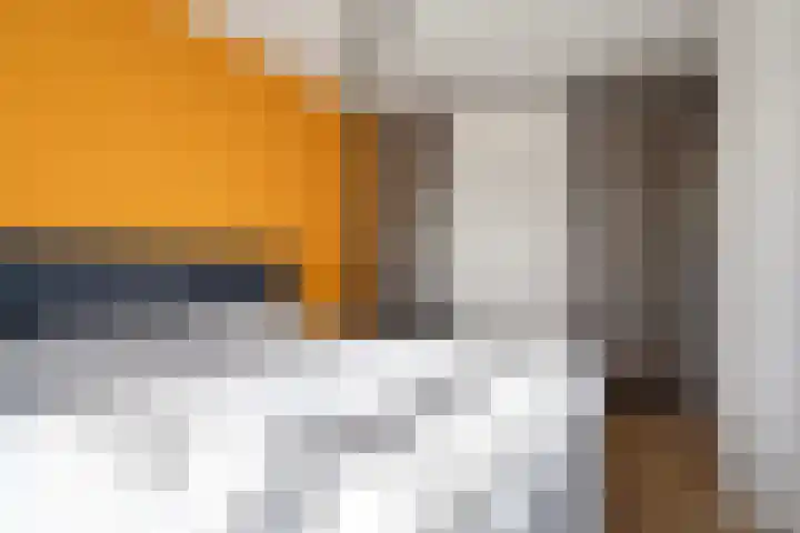 Van Hille Gaerthéstraat 48 Zwolle thumbnail 17