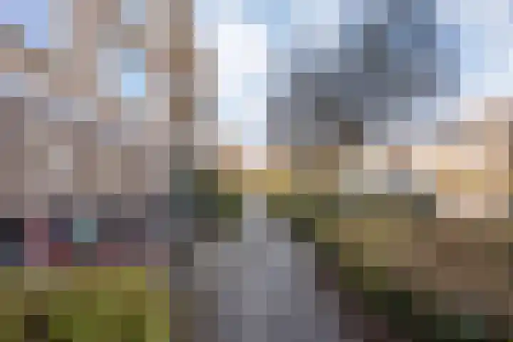 Van Hille Gaerthéstraat 48 Zwolle thumbnail 31