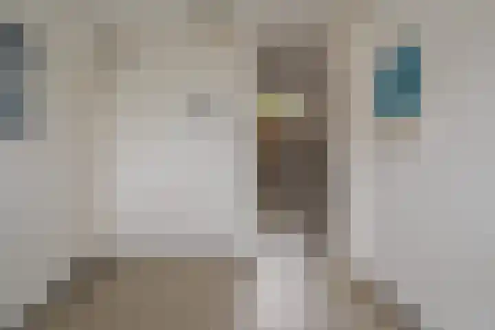 Van Hille Gaerthéstraat 70 Zwolle thumbnail 37