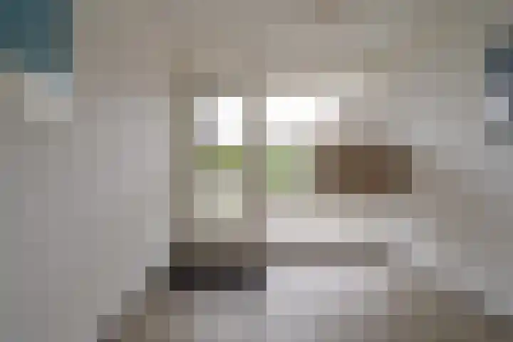 Van Hille Gaerthéstraat 70 Zwolle thumbnail 42