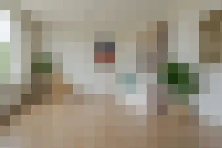 Van Hille Gaerthéstraat 70 Zwolle thumbnail 8