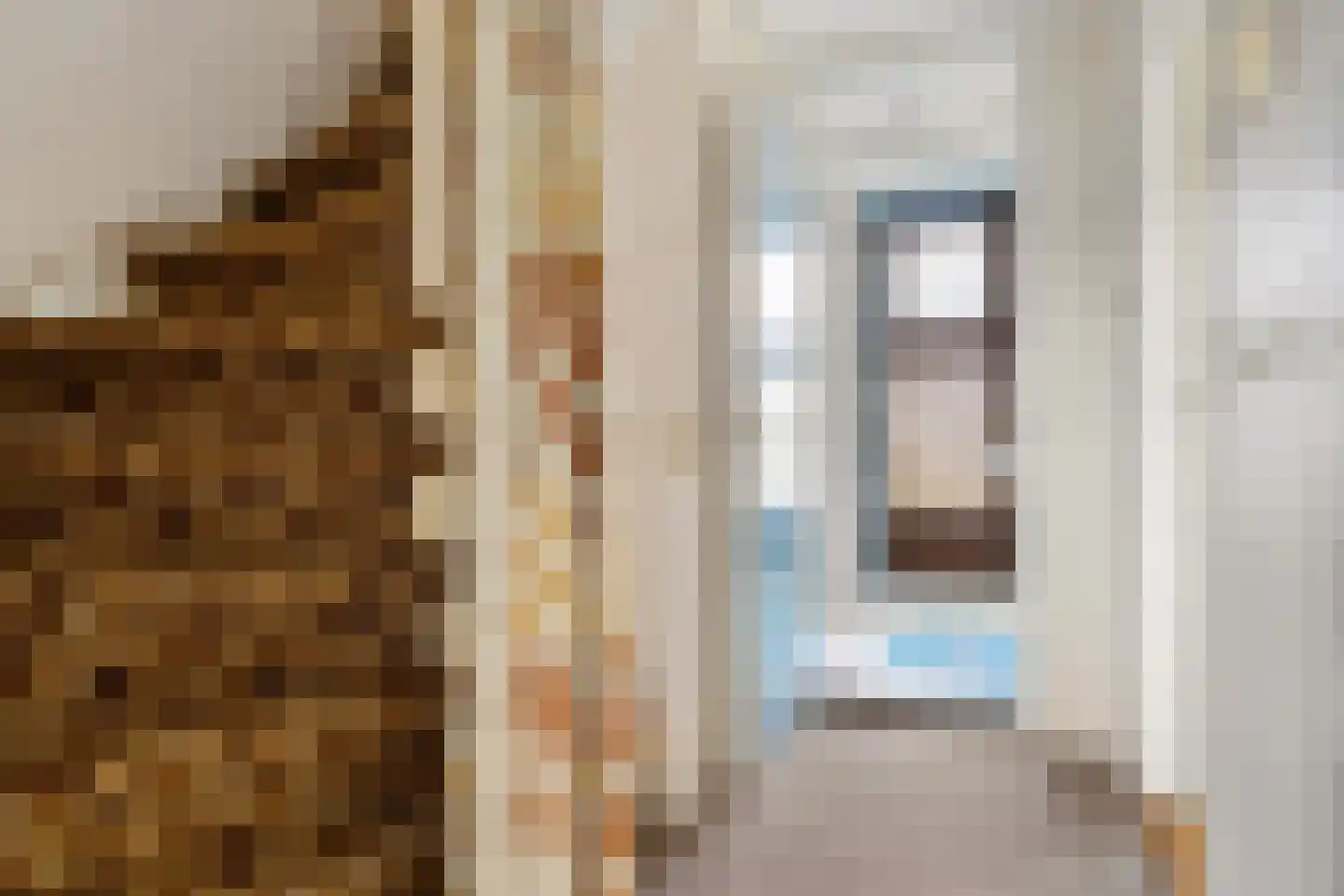 Van Hille Gaerthéstraat 9 Zwolle thumbnail 26