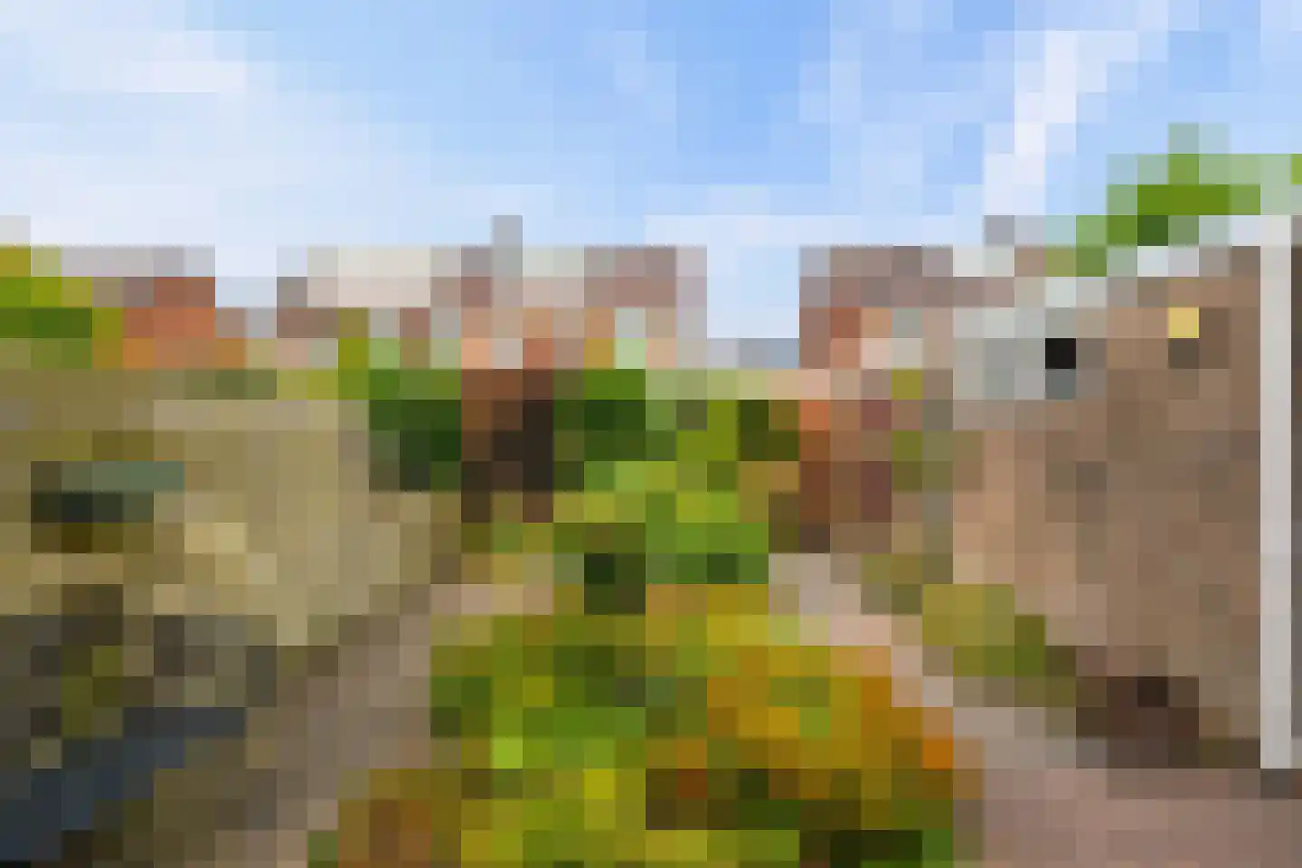 Van Hille Gaerthéstraat 9 Zwolle thumbnail 31