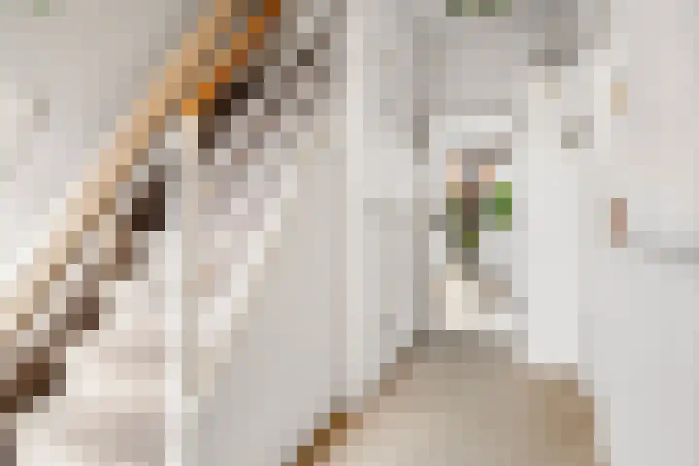 Van Hille Gaerthéstraat 9 Zwolle thumbnail 5