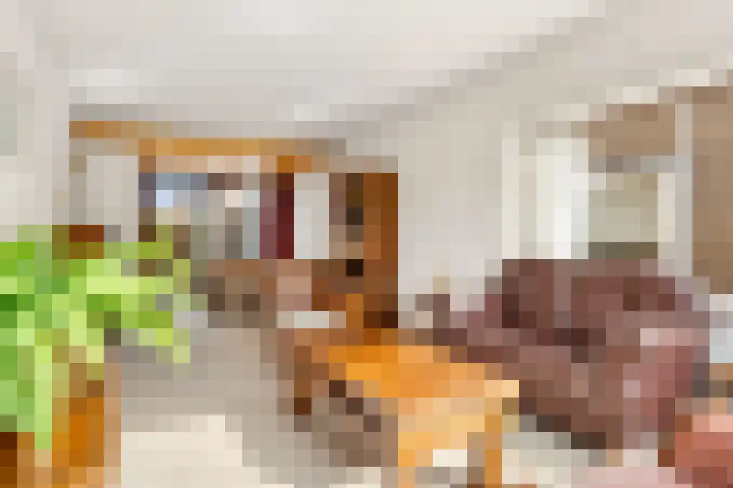 Van Hille Gaerthéstraat 9 Zwolle thumbnail 8