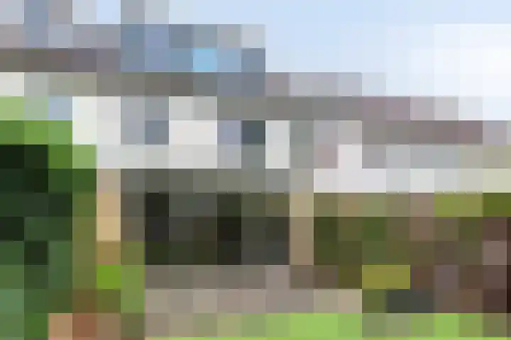 Van Hillepad 10 in Leiden