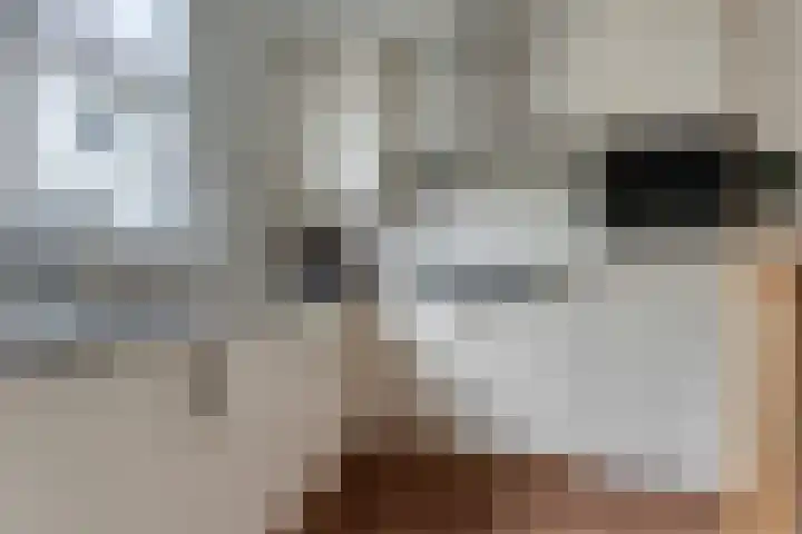 Van Hillepad 10 Leiden thumbnail 11