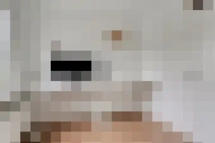 Van Hillepad 10 Leiden thumbnail 19