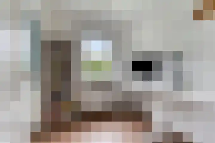 Van Hillepad 10 Leiden thumbnail 20