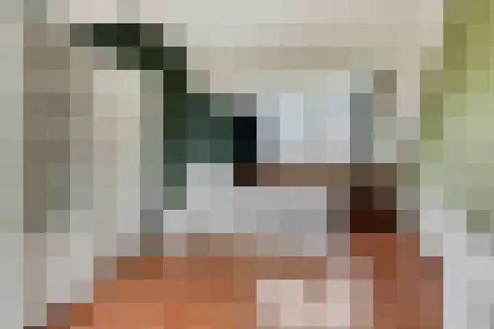 Van Hillepad 10 Leiden thumbnail 27