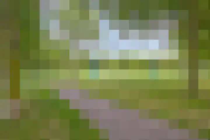 Van Hillepad 10 Leiden thumbnail 32