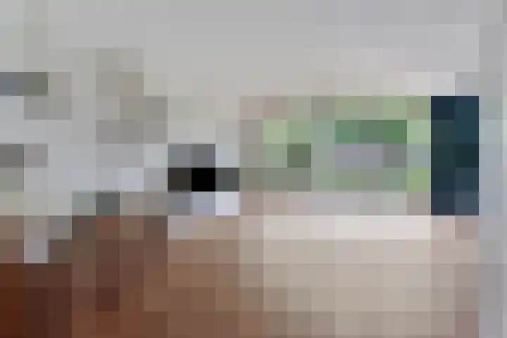 Van Hillepad 10 Leiden thumbnail 6