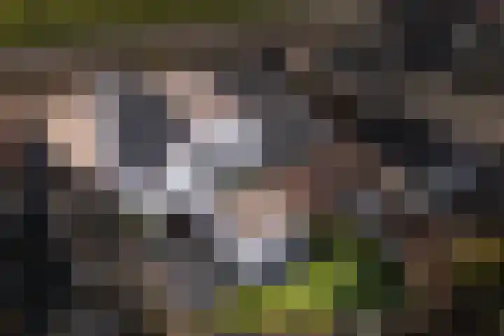 Van Hillepad 5 Leiden thumbnail 10