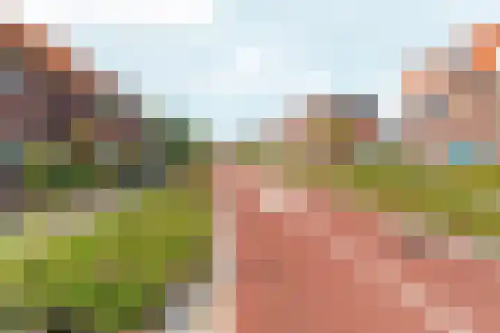 Van Hillepad 5 Leiden thumbnail 13