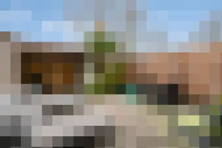Van Hillepad 5 Leiden thumbnail 15