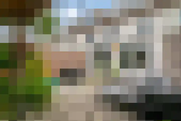 Van Hillepad 5 Leiden thumbnail 17