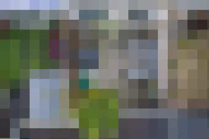 Van Hillepad 5 Leiden thumbnail 19