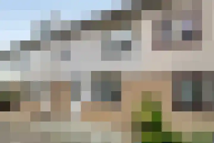 Van Hillepad 5 Leiden thumbnail 33