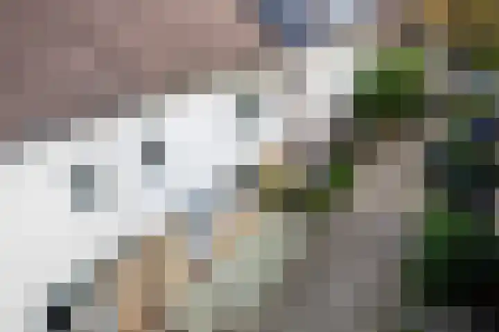 Van Hillepad 5 Leiden thumbnail 34