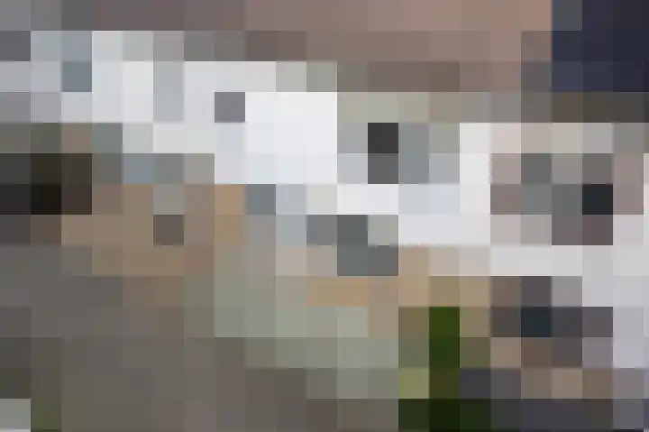 Van Hillepad 5 Leiden thumbnail 35