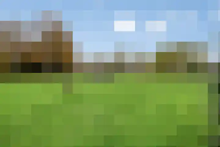 Van Hillepad 5 Leiden thumbnail 39
