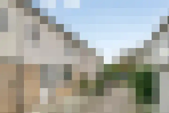 Van Hillepad 5 Leiden thumbnail 4