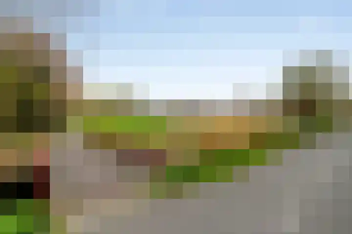 Van Hillepad 5 Leiden thumbnail 40