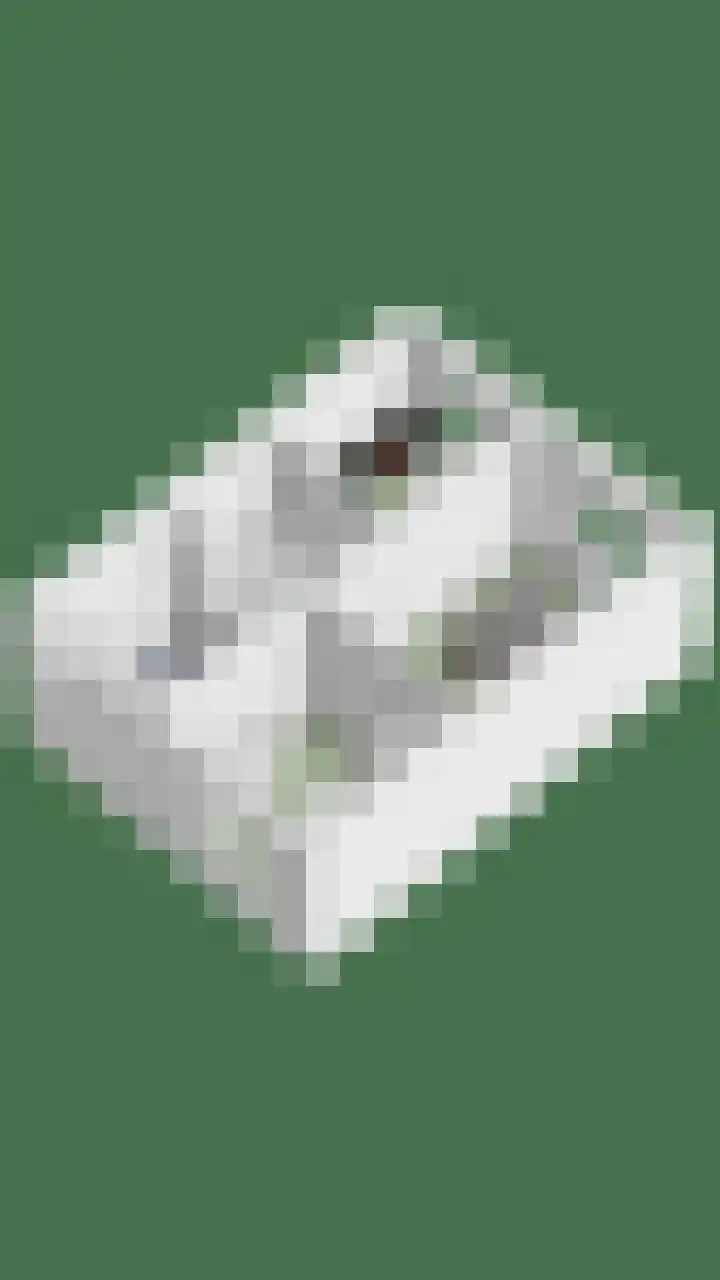 Van Hillepad 5 Leiden thumbnail 47