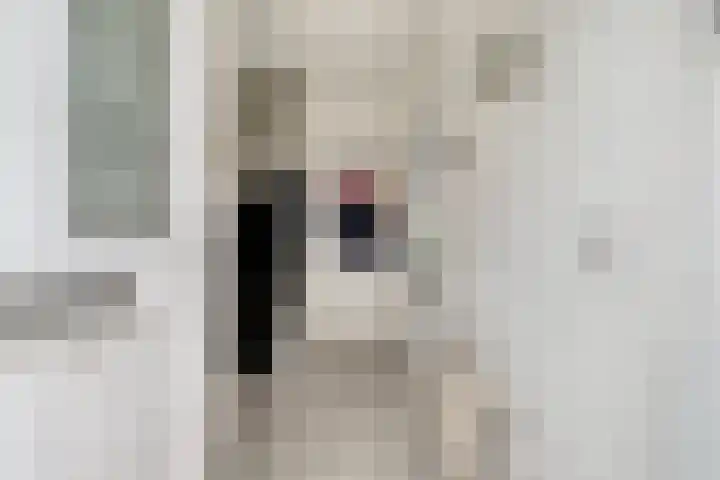 Van Hillepad 5 Leiden thumbnail 5