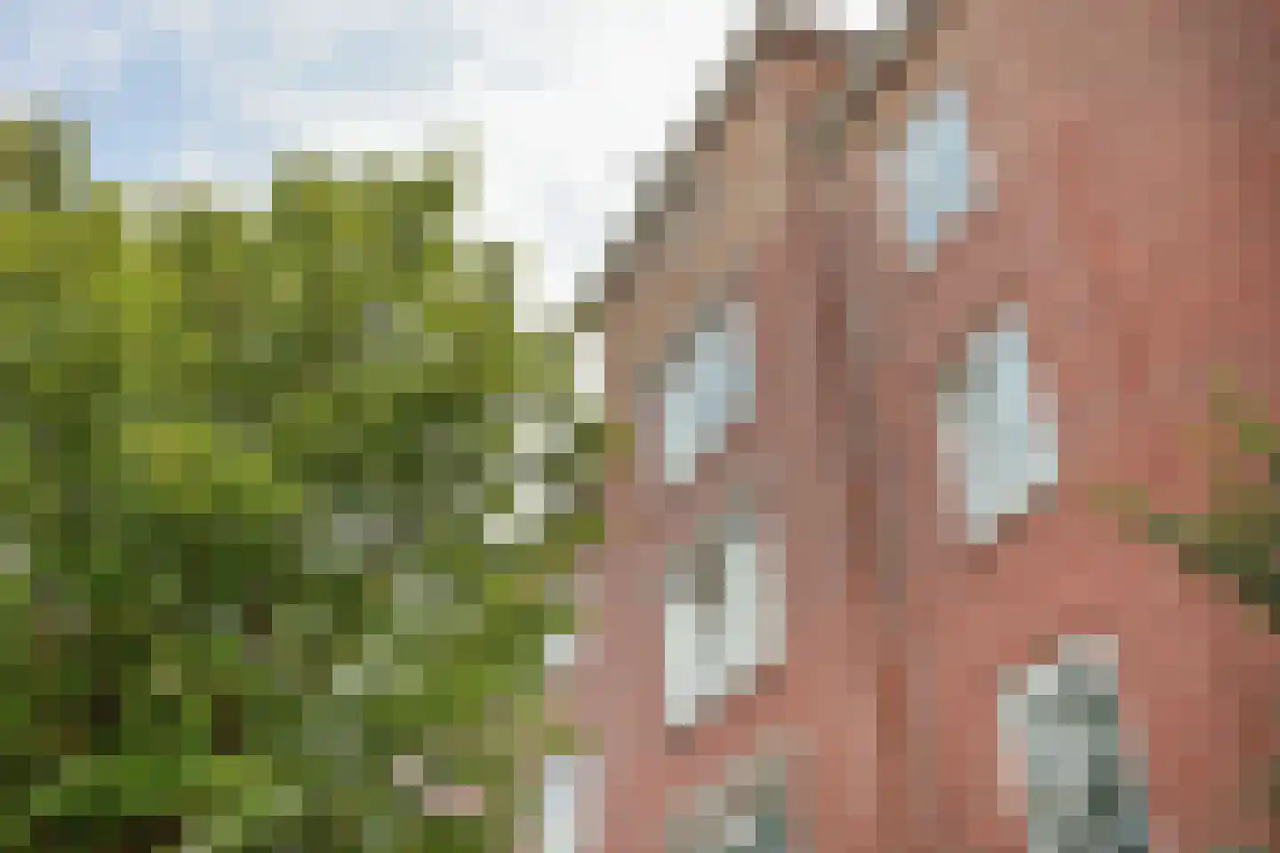 Van Hilligaertstraat 158 Amsterdam thumbnail 37