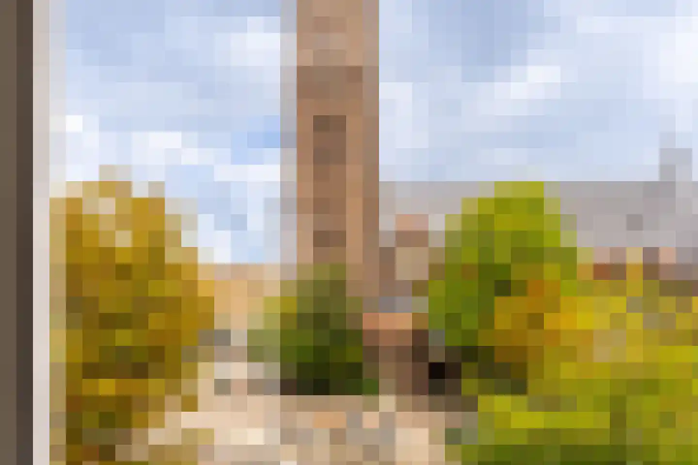 Van Hilligaertstraat 186 Amsterdam thumbnail 11