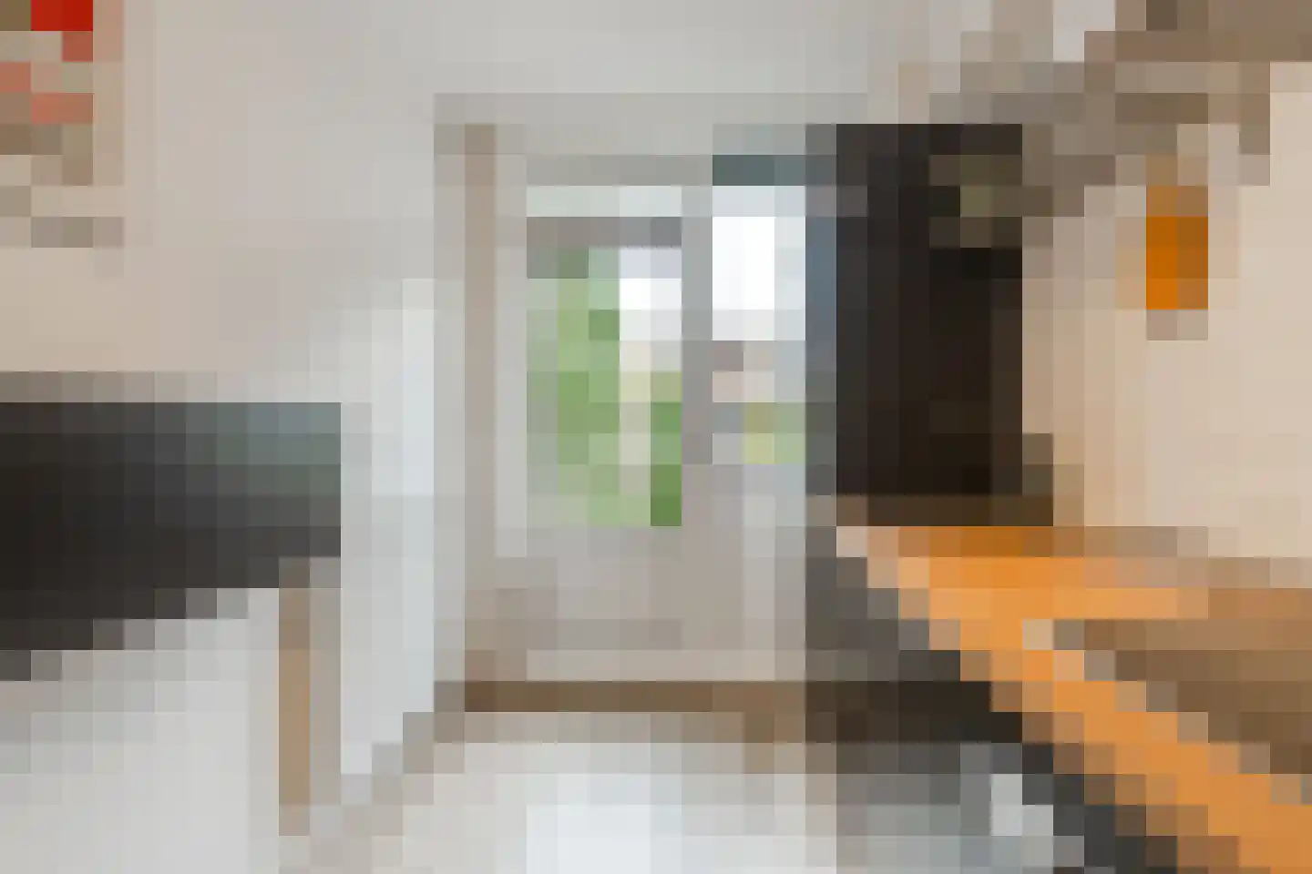 Van Hilligaertstraat 186 Amsterdam thumbnail 19