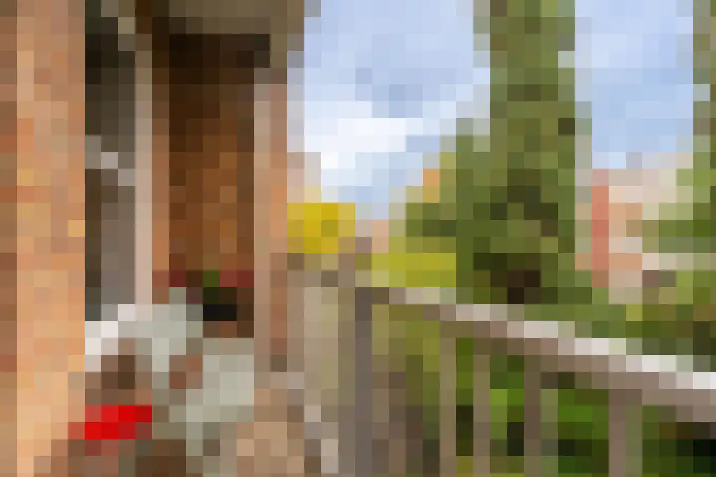 Van Hilligaertstraat 186 Amsterdam thumbnail 24