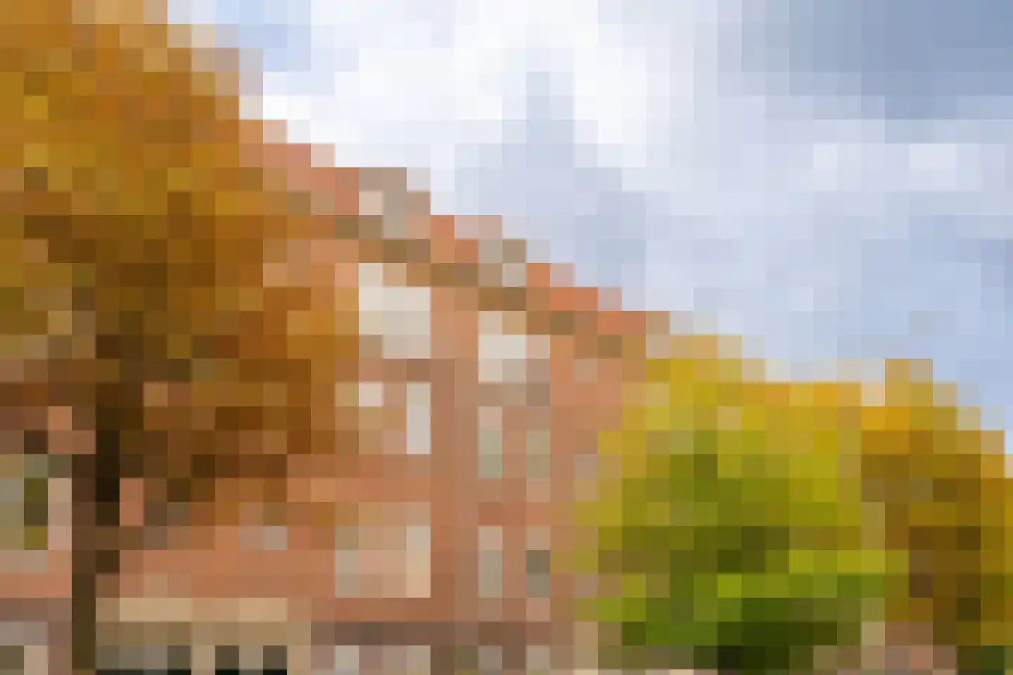 Van Hilligaertstraat 186 Amsterdam thumbnail 39