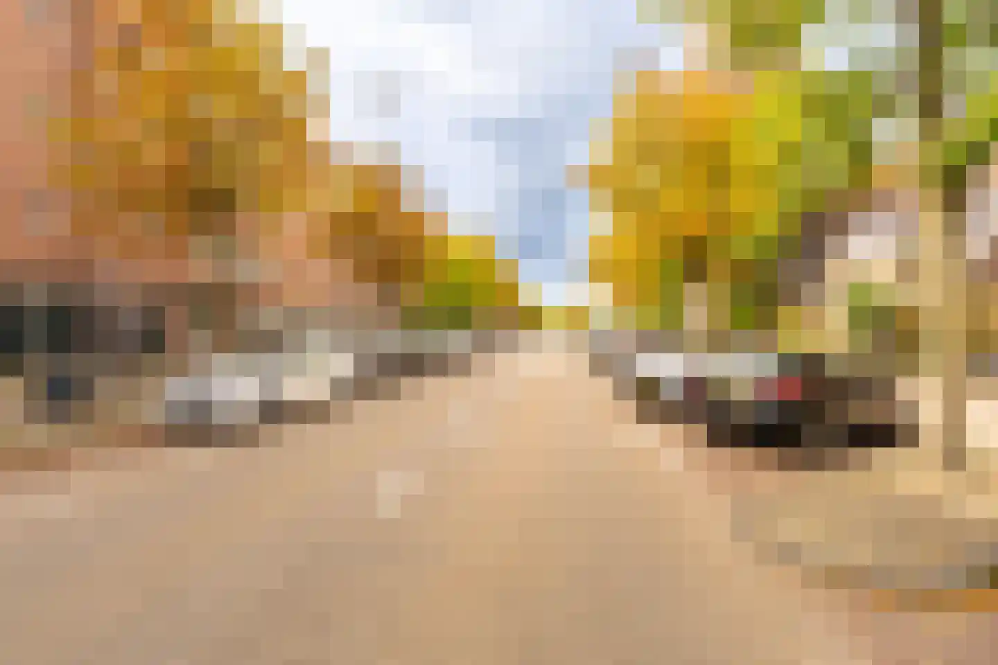Van Hilligaertstraat 186 Amsterdam thumbnail 41