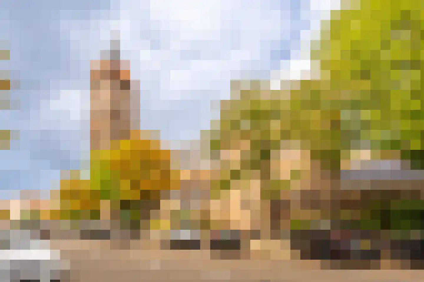 Van Hilligaertstraat 186 Amsterdam thumbnail 43