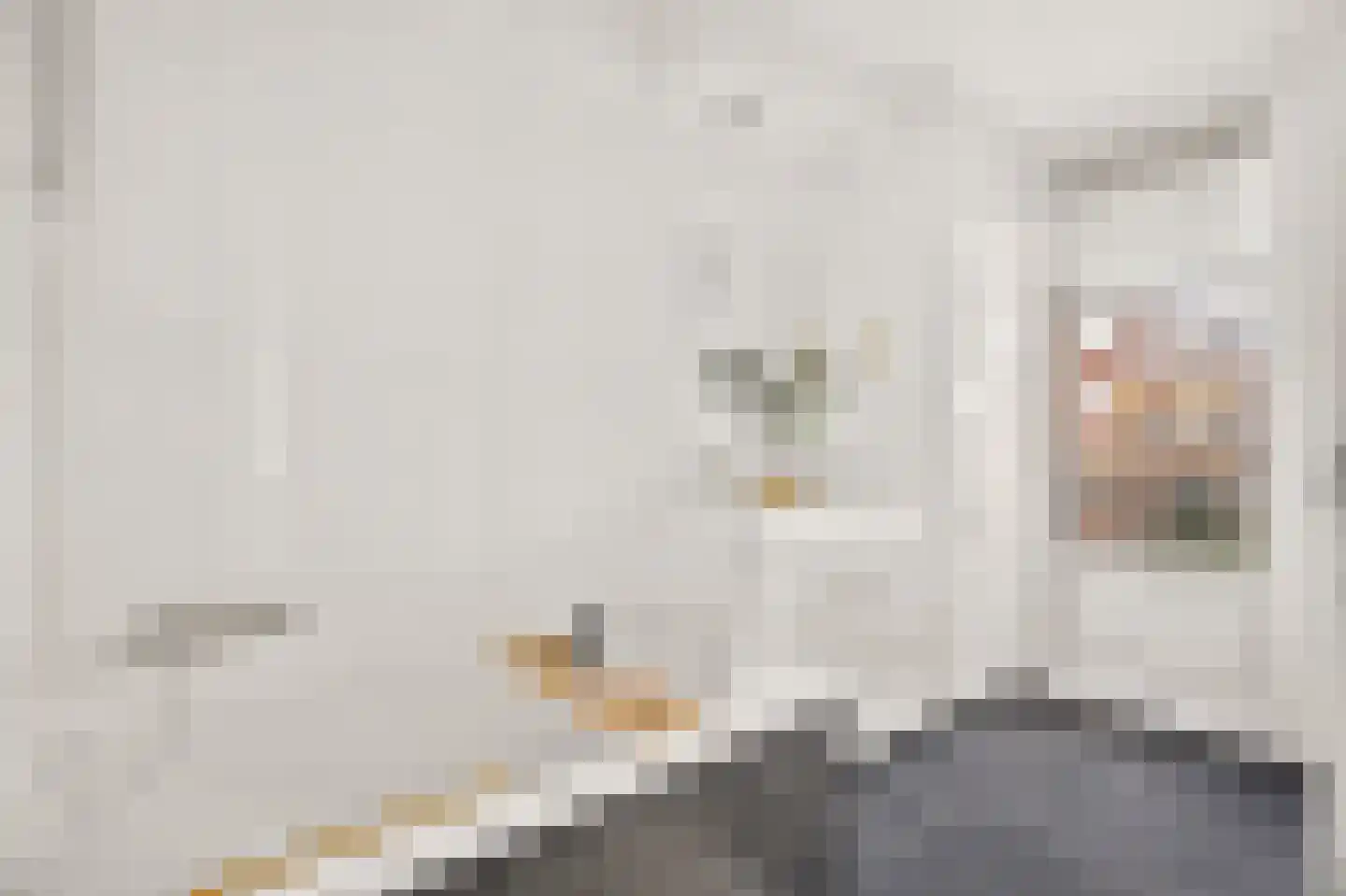 Van Hilligaertstraat 290 Amsterdam thumbnail 33