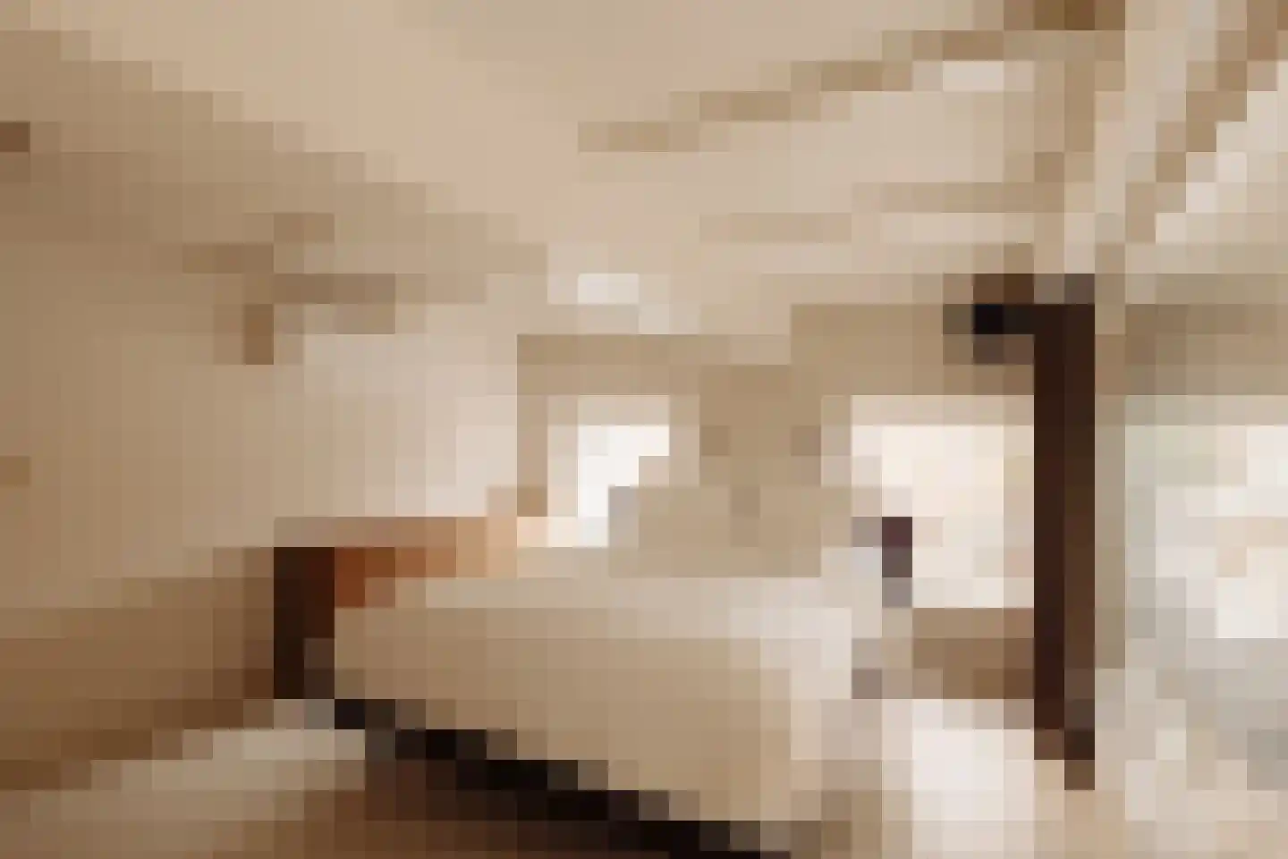 Van Hilligaertstraat 45 Amsterdam thumbnail 25