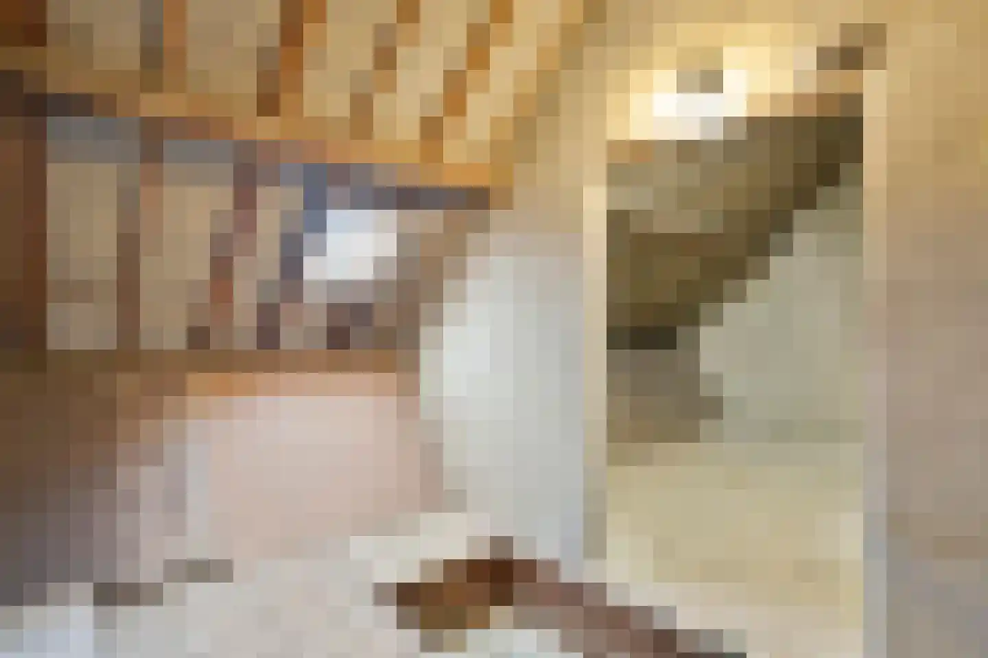Van Hiltenstraat 3 Geleen thumbnail 27