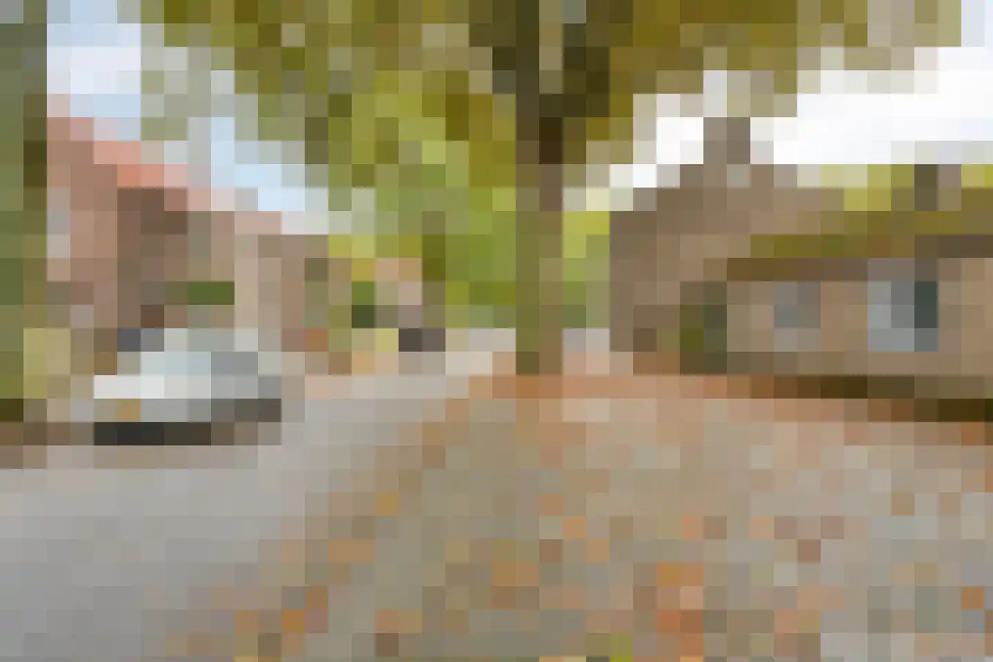 Van Hiltenstraat 3 Geleen thumbnail 6