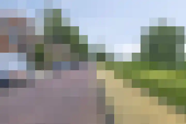 Van Hobokenhaven 22 Barendrecht thumbnail 38