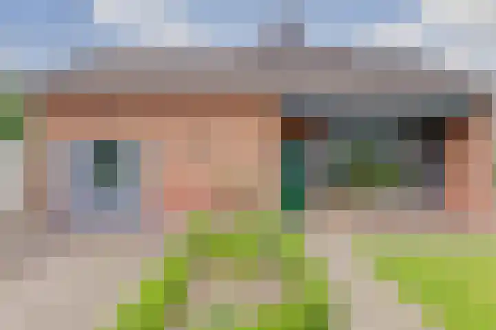 Van Hoekenstraat 7 's-Gravenpolder thumbnail 17