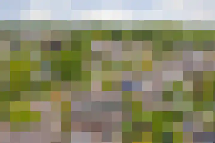Van Hoekenstraat 7 's-Gravenpolder thumbnail 44