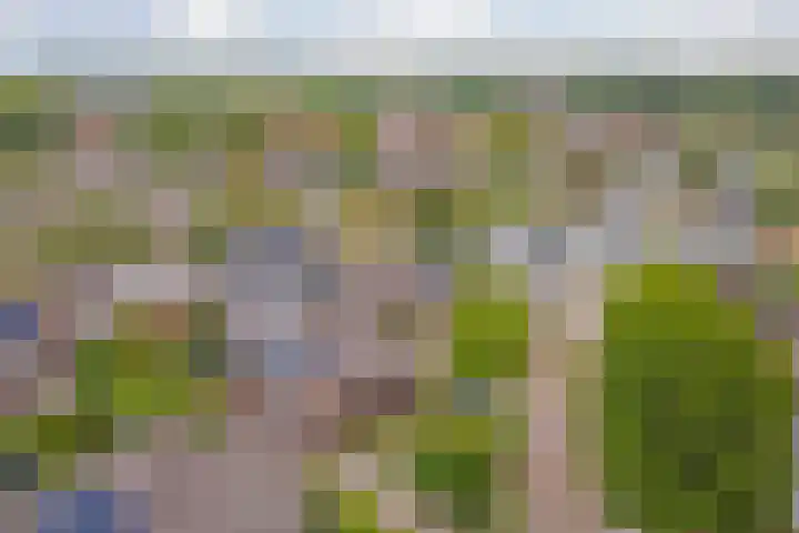 Van Hoekenstraat 7 's-Gravenpolder thumbnail 45