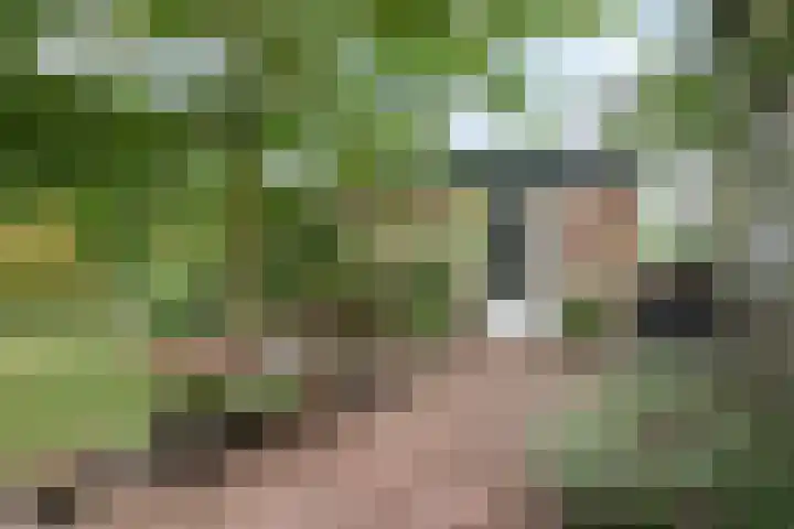 Van Hoekenstraat 8 's-Gravenpolder thumbnail 25